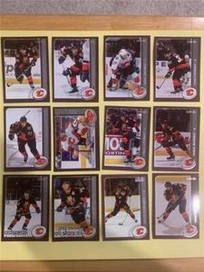 2002-03 OPC O-Pee-Chee Calgary Flames Team Set 12 Cards SP Redemption Update - Picture 1 of 1