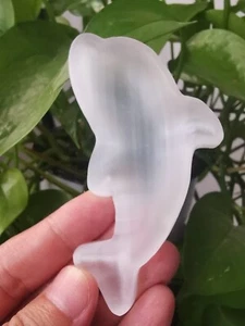 4" Natürlicher Selenit Handgeschnitzt Delfin Schale Kristall Reiki Heilung 1 Stck. - Bild 1 von 9
