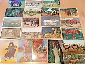 21 POSTKARTEN TIERE - Bild 1 von 8
