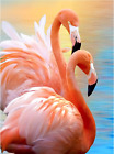 DIY 5D Diamond Art Painting Flamingo by Number Kits for Adults, Valentine'S Day 