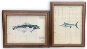 PAAR primitive rustikale Ozean Schwertfisch Tinte auf wiedergewonnener Leinwand 20"x26" gerahmte Kunst - Bild 1 von 12
