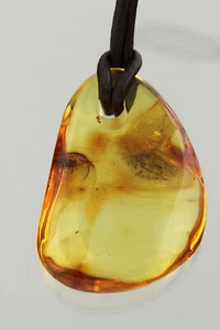 Colgante de cuero ajustable ámbar báltico genuino araña fósil 10,3 g 250116-7 - Imagen 1 de 6