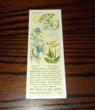 TYPHOO TEA CARD ODDS VARIOUS ISSUES - SELECT INDIVIDUAL CARD