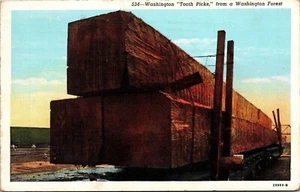 Washington Tooth Picks Forest WB Postcard PM Cancel WOB Note Curt Teich VTG - Bild 1 von 2