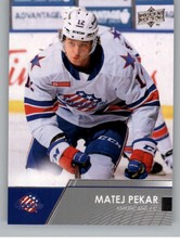 2021-22 Upper Deck AHL Hockey Base Singles #1-150 (Pick Your Cards)