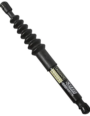 Asistente de puerta trasera Dee Zee DZ43302 para RAM 1500 de 19 corrientes (nuevo estilo de carrocería) Foto 1 de 3