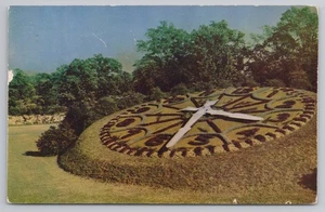 Blumenuhr im Washington District of Columbia um 1960 Postkarte - Bild 1 von 2