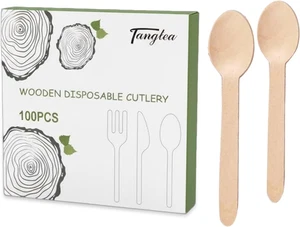 100 Pack Wooden Spoons Disposable - 6 Inch Biodegradable Cutlery Set for Parties - Picture 1 of 12