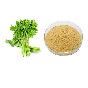 Estratto di Sedano 30:1 Estratto in Polvere 100% Puro e Biologico Puro Estratti Naturali - Foto 1 di 1