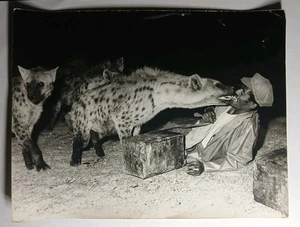 Photo De Presse Djibouti Éthiopie Homme Avec Les Hyènes AFRIQUE - Photo 1/4