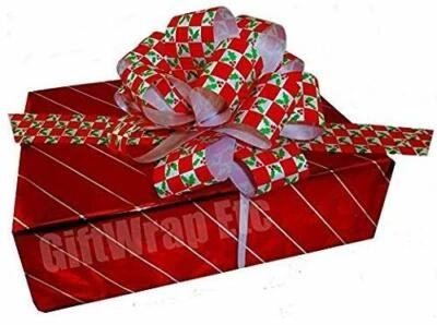 Holly Mistletoe Christmas Pull Bows - 5" Wide, Set of 10, Red and White Checkers - Image 1 of 2