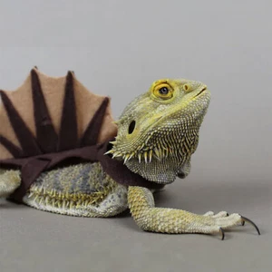 Reptile Lizard Bearded Dragon Costume Dinosaur Clothes Small Animals Halloween - Bild 1 von 10