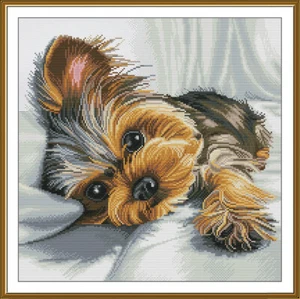 Gezähltes Kreuzstich-Set zum Selbermachen unbedruckt Leinwand Yorkshire Terrier Hund 2348 - Bild 1 von 11