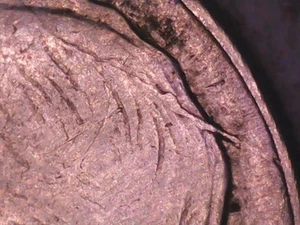 1953 Roosvelt No Mint Mark Die Gouged On Roosevelt Head - Picture 1 of 17