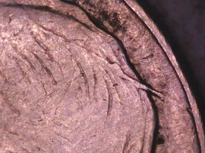 1953 Roosvelt No Mint Mark Die Gouged On Roosevelt Head - Image 1 of 4