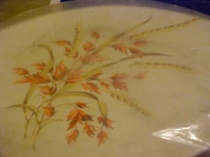 Vtg 9” 16 Piece Melamine Dinner Set - Dura Life - Plates Cups Bowls ORANGE TAN - Picture 1 of 6