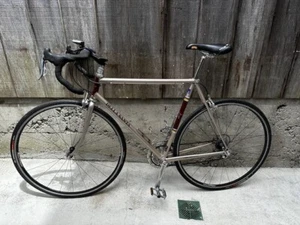 55" lugged champane maroon Della Santa Corsa Especiale/18 MCDV6 Micro Alloyed - Picture 1 of 14