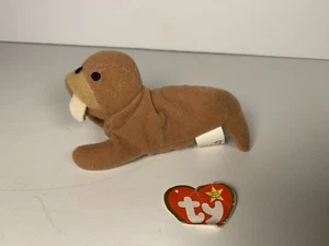 TY Beanie Babys Plüsch Stoßzahn das Walross 1995 nicht mehr produziert 3. Generation - Bild 1 von 5