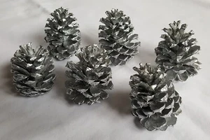 Lot of 6 Small 2.5-3 inch Silver Pinecones for decoration crafts etc - Picture 1 of 8