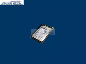 Dell Equallogic 6TB NL SAS 7.2K Spare with tray for PS6610 PS6610E HXN6P - Picture 1 of 2