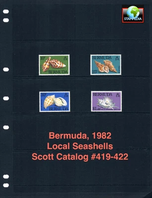 $7.75 Scott Value - 1982 BERMUDA Seashells Shells Atlantic Ocean CV MNH NH UMM - Image 1 of 4