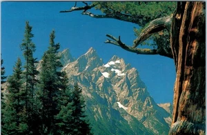 The Cathedral Group, Grand Teton National Park, Wyoming Postcard - Picture 1 of 2