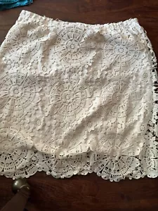 Cato IVORY HEAVY EMBROIDERED LACE LINED PENCIL STRAIGHT SKIRT PLUS 22W/ 24W NWT - Picture 1 of 17