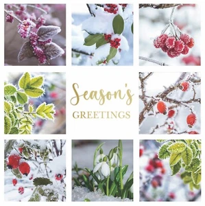 Charity Weihnachtskarten Winterbeeren 10 Stück Karten. National Eczema Soc - Bild 1 von 5