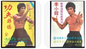 2 x V Rare Bruce Lee Chinese Magazines Jeet Kune Do Vintage Kung Fu Dragon - Picture 1 of 24