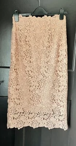 H&M Premium Nude Pale Pink Lace Midi Pencil Skirt 10 38 NWOT - Picture 1 of 5