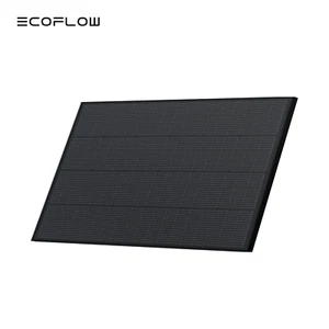 EcoFlow 175W Solar Panel 25% High-Efficiency Solar Modules for Outdoor Camping - Picture 1 of 10