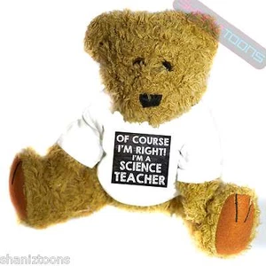 English Teacher Novelty Gift Teddy Bear - Picture 1 of 1