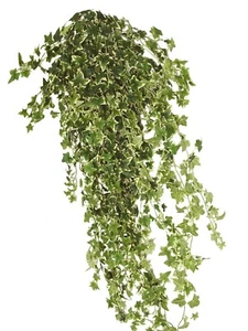(01454-34045) ARTIFICIAL PLANTA COLGANTE MATA COLGAR HIEDRA IVY VERDE AMARILLO - Bild 1 von 1