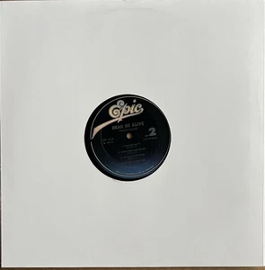 Dead Or Alive Youthquake Vinyl LP Epic 1985 White Cover - Picture 1 of 4