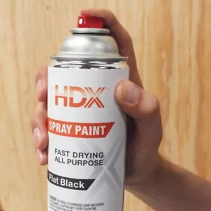10 Oz. All Purpose Flat Black Spray Paint - NO SHIP TO CALIFORNIA - Picture 1 of 8