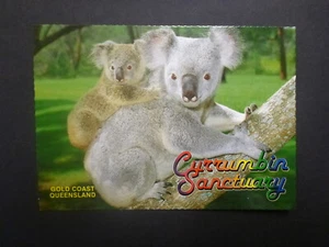 RETRO AUSTRALIAN POSTCARD- CURRUMBIN SANCTUARY KOALA, QLD - Picture 1 of 2