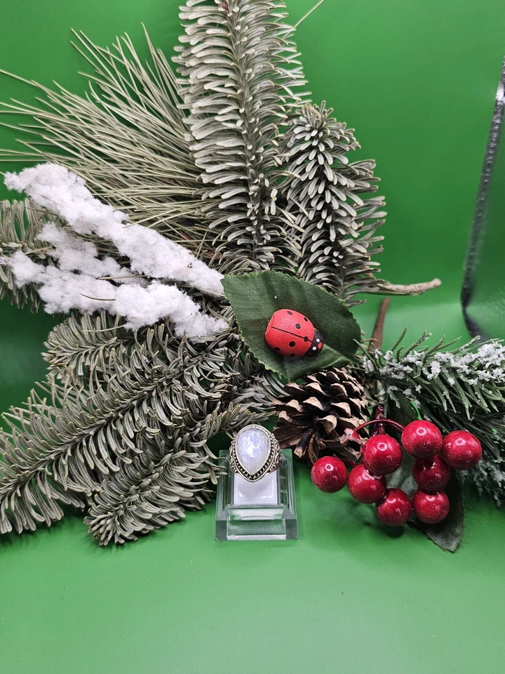 Anello in Argento con Pietra di Luna Mis. 15 - Immagine 1 di 1