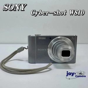 Sony Cyber-shot DSC-W810 Digital Camera 20.1MP Compact w/SD Card Battery Charger - Picture 1 of 9
