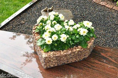Herz 35x34x10cm Pflanzenschale Grabschmuck  Schale Engel Blumentopf Körbe - Bild 1 von 4