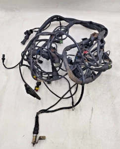 CABLAGGIO IMPIANTO ELETTRICO-MOTO GUZZI CALIFORNIA 1100 SPECIAL SPORT - Imagen 1 de 7