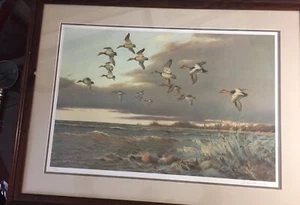 Owen Gromme,”Canvasback Freeze Up” 249/500,framed, Artist Signed, RARE, 1968. - Picture 1 of 12