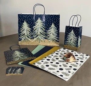 MIDNIGHT FLURRY Gift Bag Bundle with Tissue Paper, Gift Tags, Raffia Ribbon - Picture 1 of 4