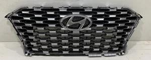 2019-2020 HYUNDAI PALISADE FRONT BUMPER GRILLE OEM  - Picture 1 of 10