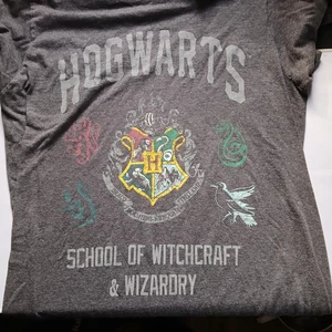Camiseta Harry Potter Hogwarts Juniors Talla Pequeña Gris Manga Corta - Imagen 1 de 3