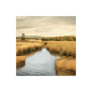 Stampa su Tela su Carta Poster o Quadro Seba John Morning Calm I - Picture 1 of 2