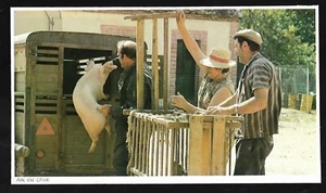 1983  --  AIX EN OTHE CHARGEMENT DE COCHON  3R934 - Picture 1 of 1