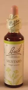 Bach Flower Remedies, Mustard 20ml. BBE 07/2028 - Picture 1 of 8