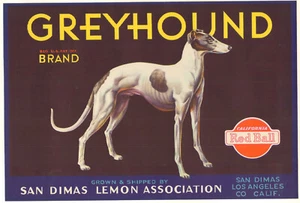 *Original* GREYHOUND Dog San Dimas Red Ball Lemon Crate Label NOT A COPY! - Picture 1 of 1