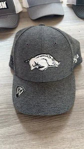 Men’s Hat One Size Fits All Gray Arkansas Razorbacks Iron Flex Cap - Picture 1 of 2