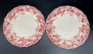 2 platos de postre Johnson Brothers Strawberry Fair rosa pan y mantequilla de colección usados en excelente estado - Imagen 1 de 6